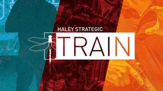 Haley Strategic D5 Handgun