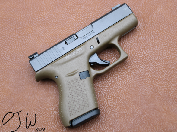 Glock 42 Profile