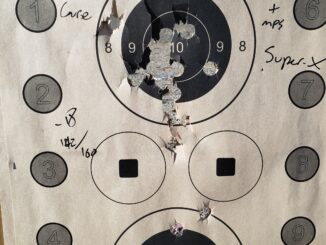 Reedy Shotgun Bullseye Course